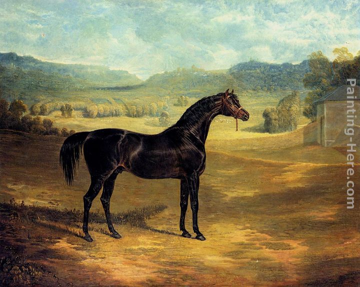 The Bay Stallion Jack Spigot painting - John Frederick Herring Snr The Bay Stallion Jack Spigot art painting